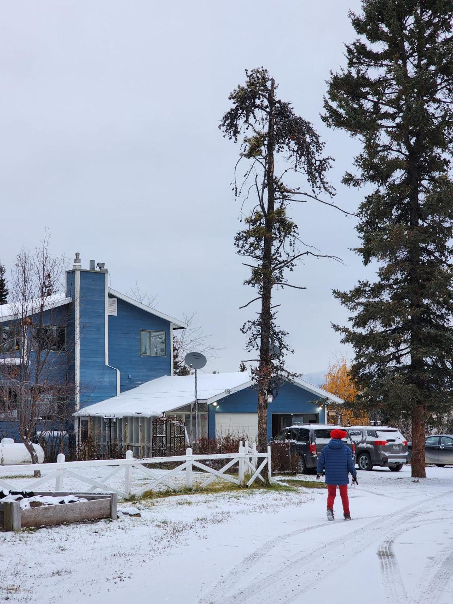 Hidden Valley Bed And Breakfast Whitehorse Exterior photo