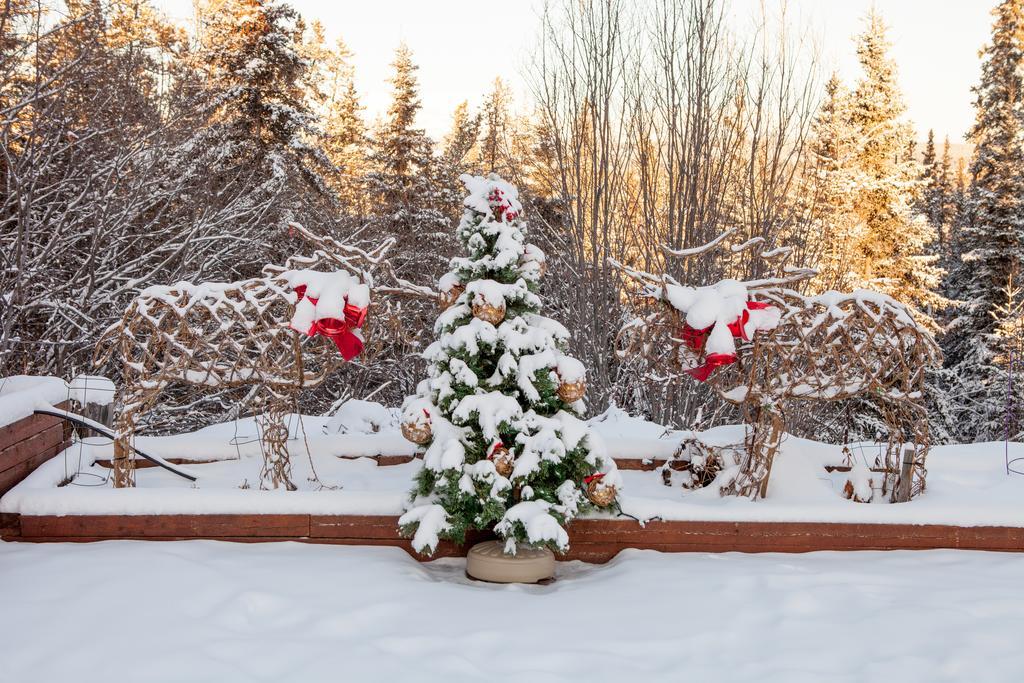 Hidden Valley Bed And Breakfast Whitehorse Exterior photo